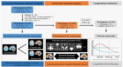 Structural Covariance Network Disruption and Functional Compensation in Parkinson’s Disease